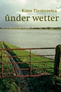 tiemersma under wetter